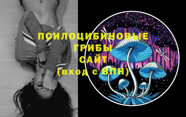 apvp Горняк