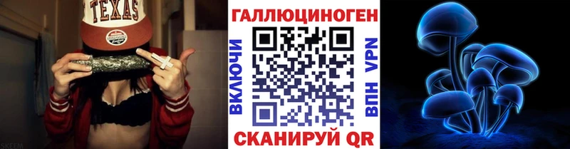 Псилоцибиновые грибы Psilocybe  Купить  Пыталово 
